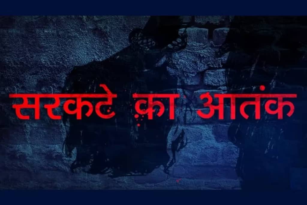 stree 2 theme first look