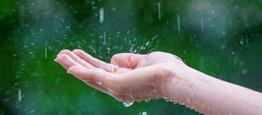 Monsoon Wellness Tips